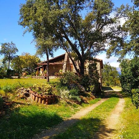 La Simona Casa Rural Perales del Puerto Eksteriør billede