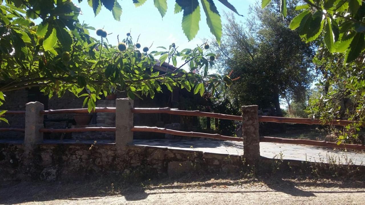 La Simona Casa Rural Perales del Puerto Eksteriør billede