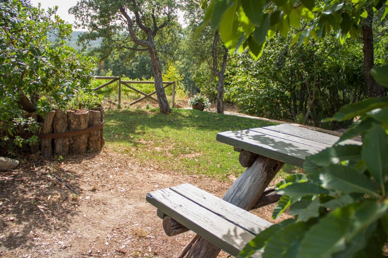 La Simona Casa Rural Perales del Puerto Eksteriør billede