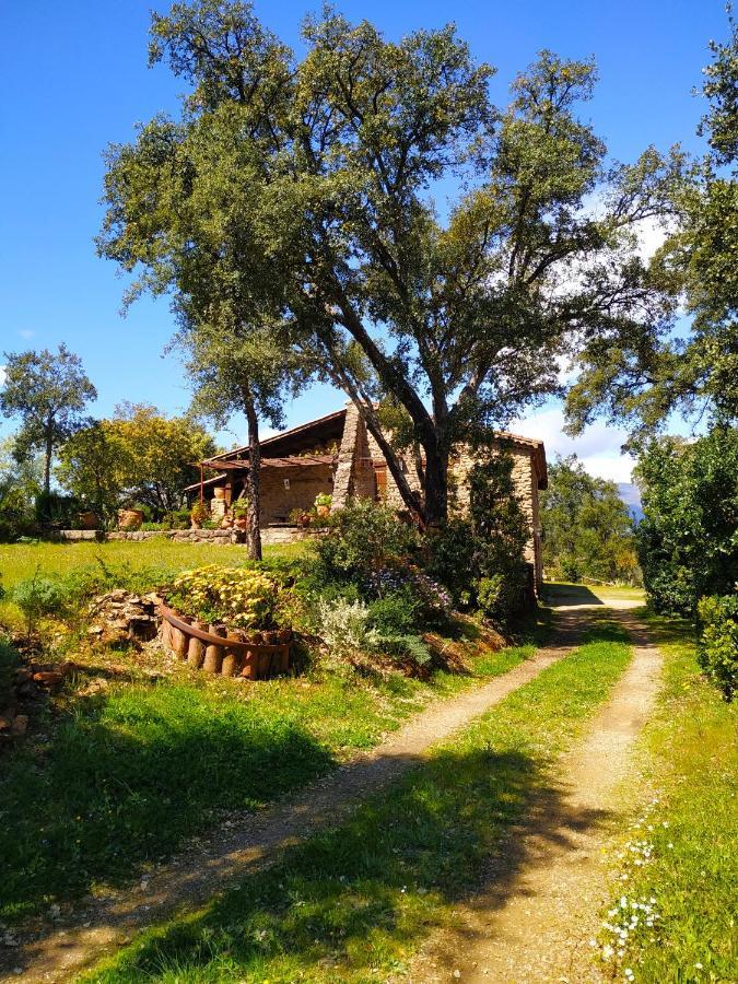 La Simona Casa Rural Perales del Puerto Eksteriør billede