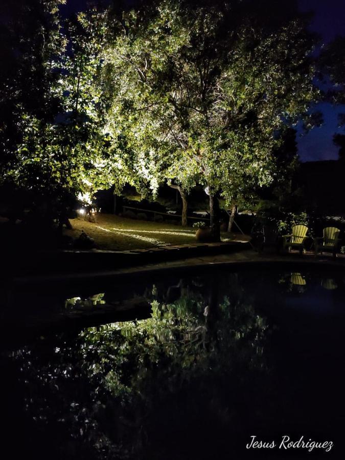 La Simona Casa Rural Perales del Puerto Eksteriør billede