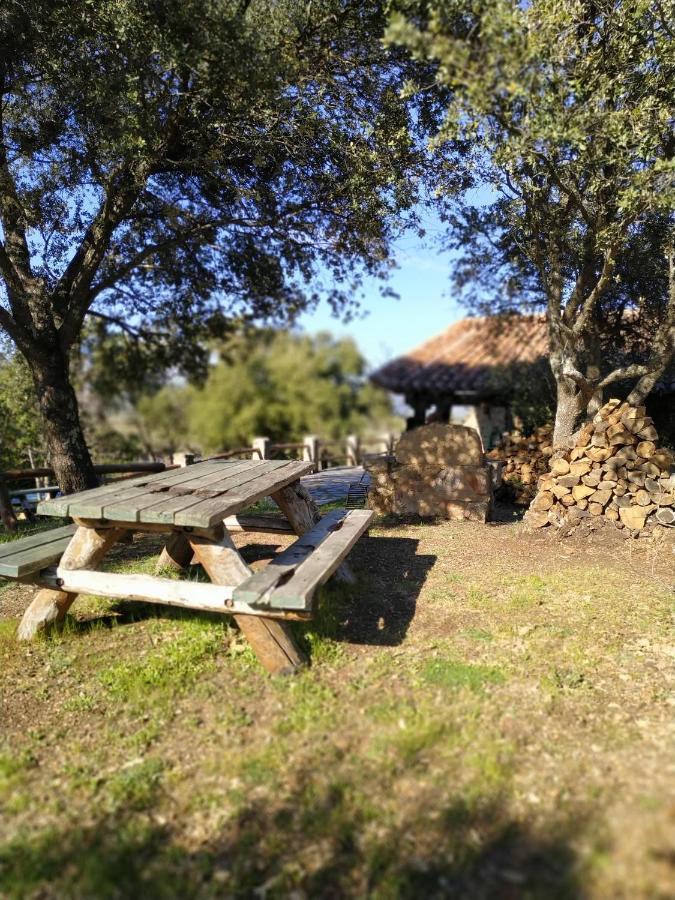 La Simona Casa Rural Perales del Puerto Eksteriør billede