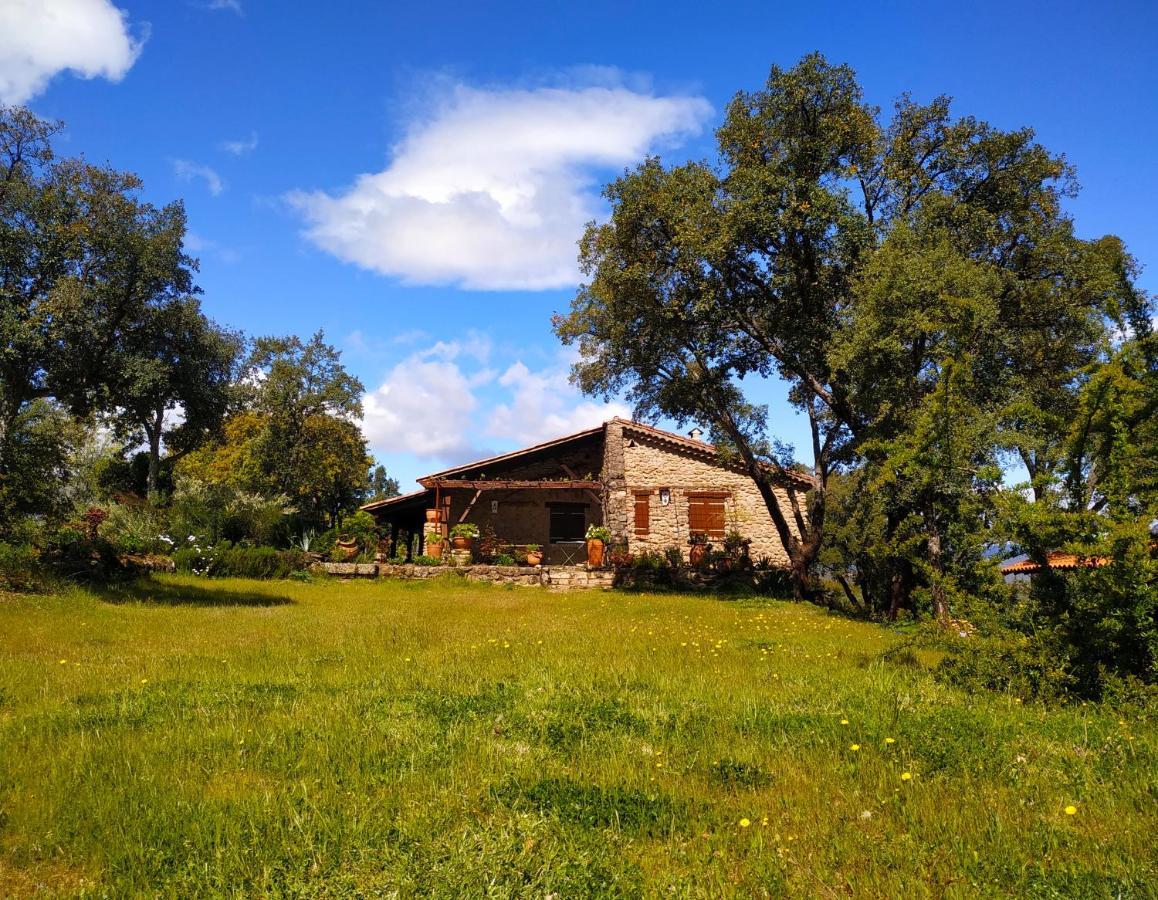 La Simona Casa Rural Perales del Puerto Eksteriør billede