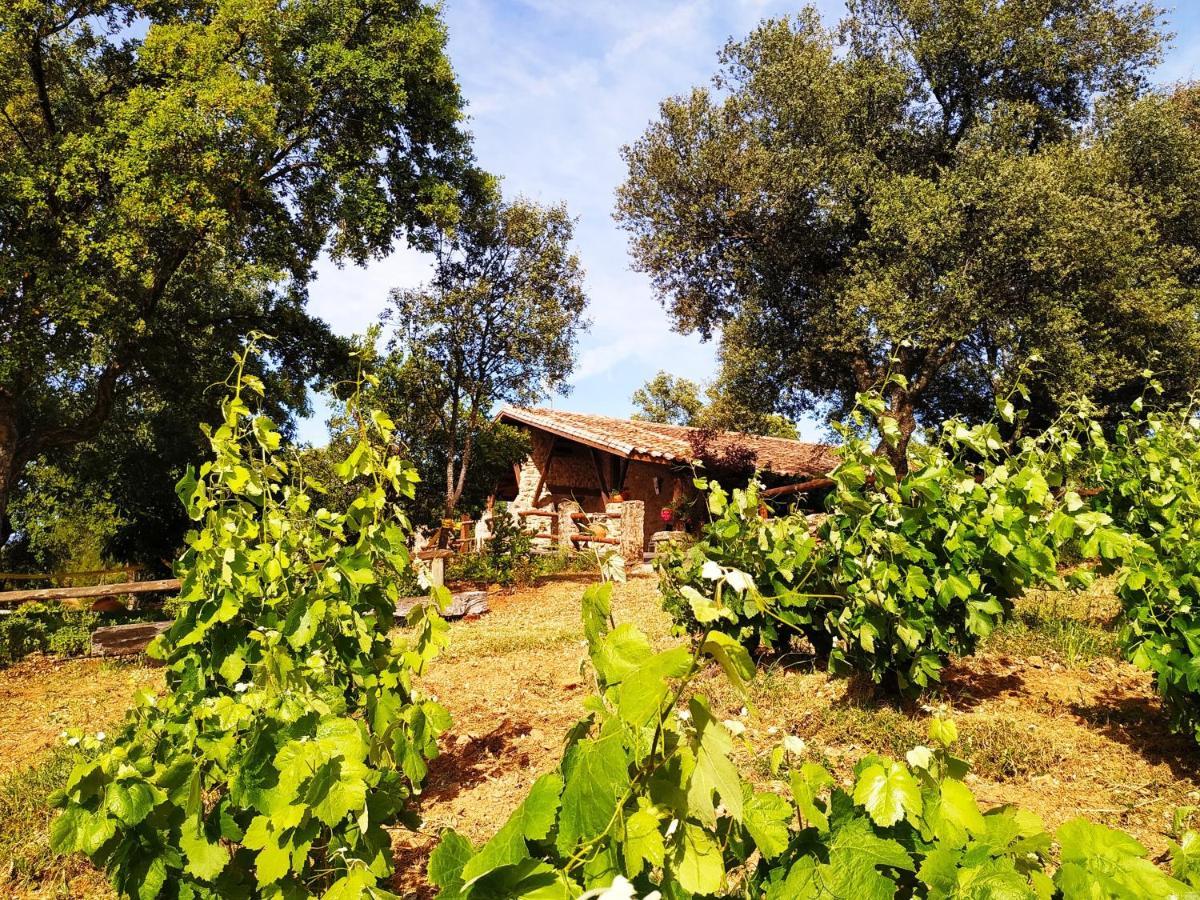 La Simona Casa Rural Perales del Puerto Eksteriør billede